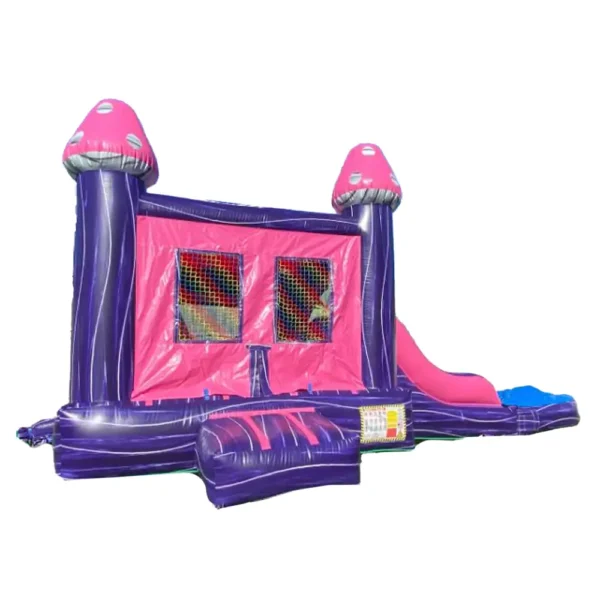 Pink and Purple Combo Unit 26'x16'